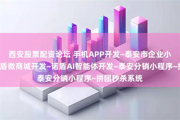 西安股票配资论坛 手机APP开发~泰安市企业小程序制作~诺盾微商城开发~诺盾AI智能体开发~泰安分销小程序~拼团秒杀系统
