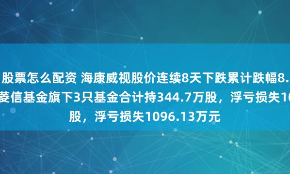 股票怎么配资 海康威视股价连续8天下跌累计跌幅8.76%，申万菱信基金旗下3只基金合计持344.7万股，浮亏损失1096.13万元